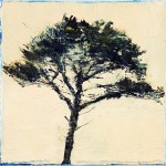 Peach Pine, 18 x 18cm, Oil on canvas, 2009