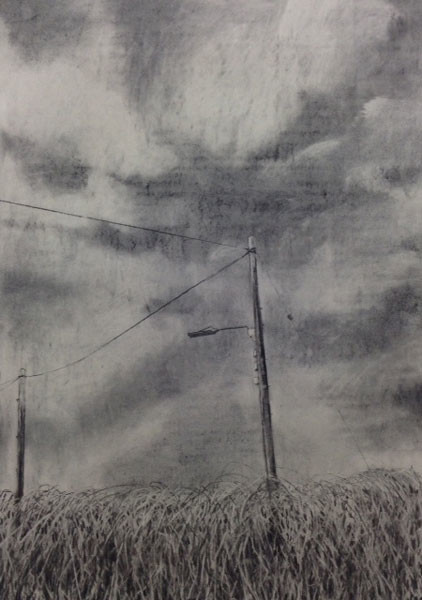 Tangle Reach, 84 x 60 cm, Charcoal on Paper, 2015